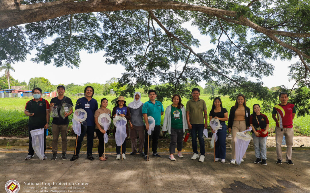 NCPC conducts Refresher Course on Identification and Management of Insect Pests and Diseases in Cereal Crops, Vegetables, and Mango in the Philippines